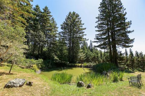 17309 Willow Creek Rd, Occidental, CA 95465 photo 45