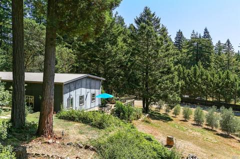 17309 Willow Creek Rd, Occidental, CA 95465 photo 31