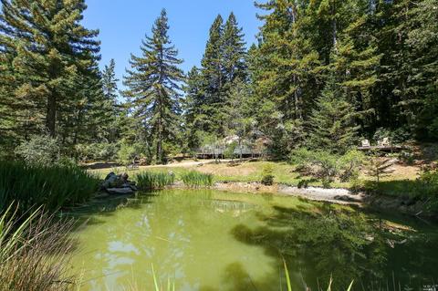 17309 Willow Creek Rd, Occidental, CA 95465 photo 47