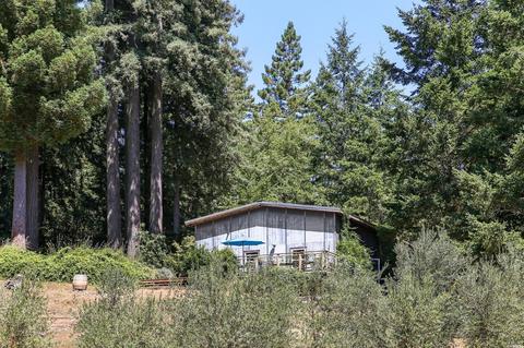 17309 Willow Creek Rd, Occidental, CA 95465 photo 49