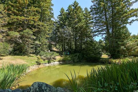 17309 Willow Creek Rd, Occidental, CA 95465 photo 46