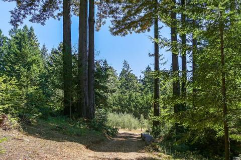 17309 Willow Creek Rd, Occidental, CA 95465 photo 39