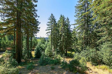 17309 Willow Creek Rd, Occidental, CA 95465 photo 33