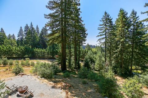17309 Willow Creek Rd, Occidental, CA 95465 photo 50