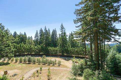 17309 Willow Creek Rd, Occidental, CA 95465 photo 32