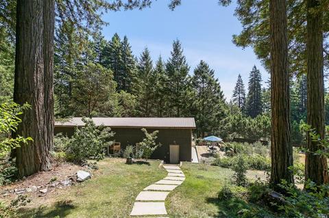 17309 Willow Creek Rd, Occidental, CA 95465 photo 30