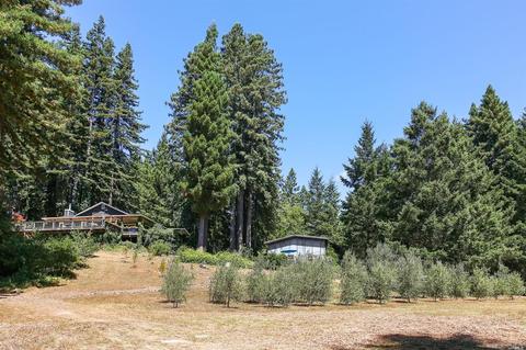 17309 Willow Creek Rd, Occidental, CA 95465 photo 48