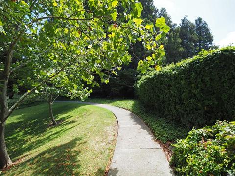 684 Draco Dr, Petaluma, CA 94954 photo 20