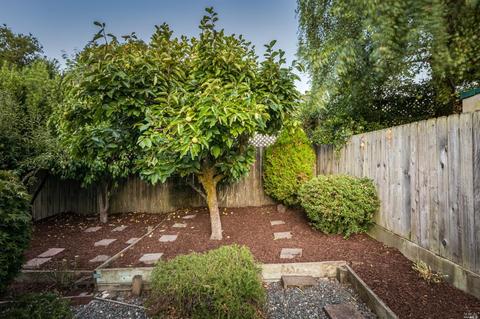 1160 Birch Dr, Petaluma, CA 94952 photo 24