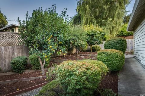 1160 Birch Dr, Petaluma, CA 94952 photo 23