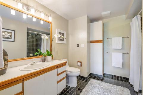 100 Hillside Ave, Mill Valley, CA 94941 photo 21