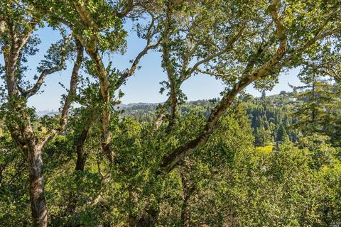 100 Hillside Ave, Mill Valley, CA 94941 photo 5