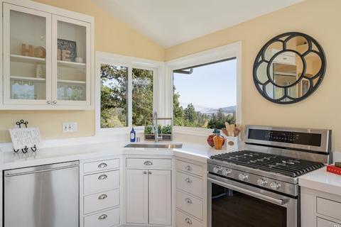100 Hillside Ave, Mill Valley, CA 94941 photo 7