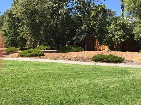132 Cornell St, Windsor, CA 95492 photo 48