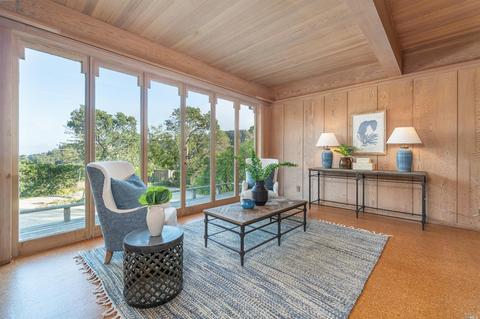 45 Cornelia Ave, Mill Valley, CA 94941 photo 3