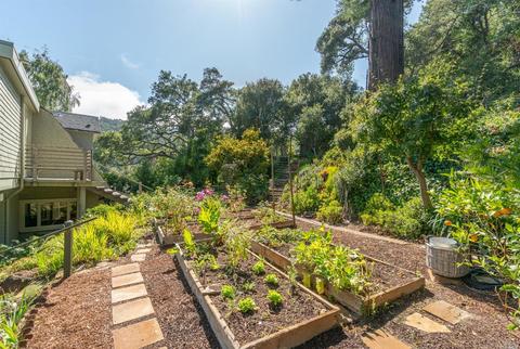 45 Cornelia Ave, Mill Valley, CA 94941 photo 34