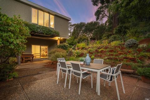 45 Cornelia Ave, Mill Valley, CA 94941 photo 42