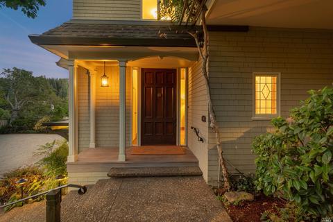 45 Cornelia Ave, Mill Valley, CA 94941 photo 41