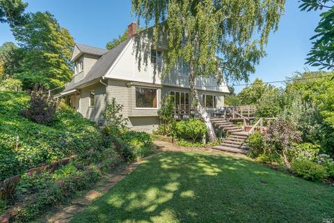 45 Cornelia Ave, Mill Valley, CA 94941 photo 36