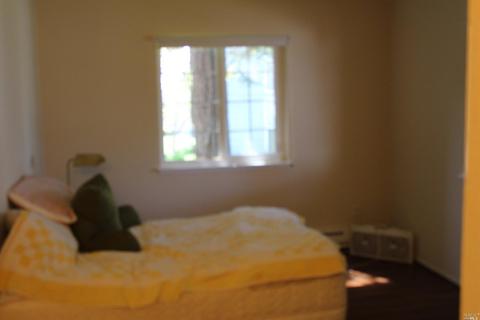 243 Lighthouse Dr, Vallejo, CA 94590 photo 19