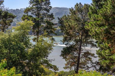 105 Willis Dr, Mill Valley, CA 94941 photo 4