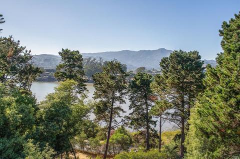 105 Willis Dr, Mill Valley, CA 94941 photo 15