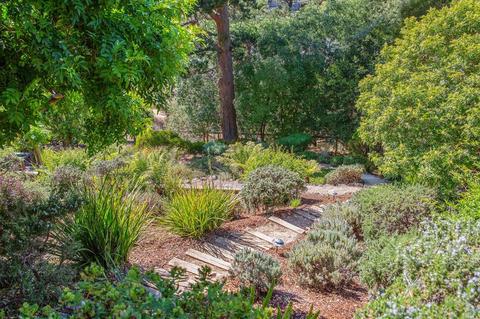 105 Willis Dr, Mill Valley, CA 94941 photo 38