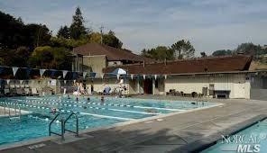 105 Willis Dr, Mill Valley, CA 94941 photo 48