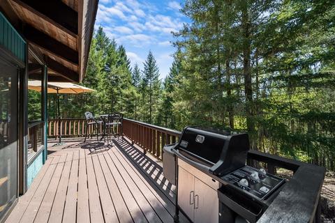 4200 Muir Mill Rd, Willits, CA 95490 photo 21