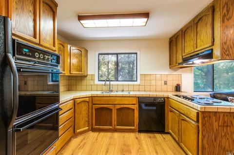 16554 Mountain View Dr, Cobb, CA 95426 photo 6