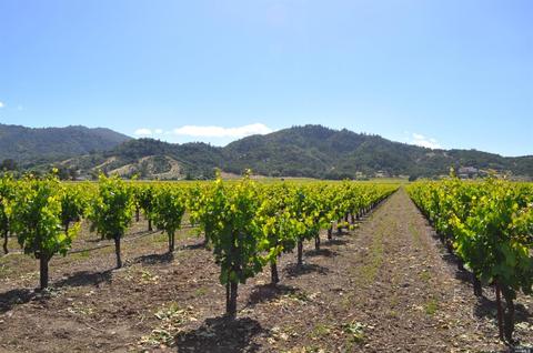 360 Lovers Ln, Ukiah, CA 95482 photo 1