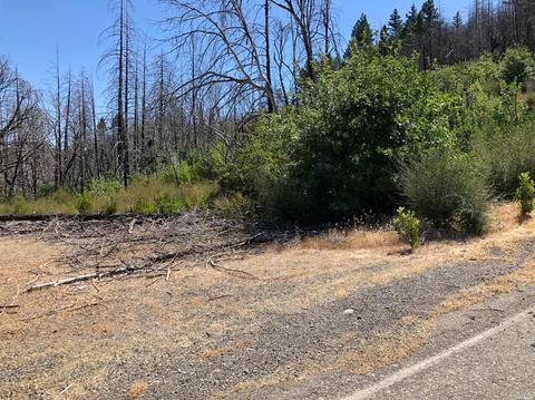 20500 Foard Rd, Middletown, CA 95461 photo 6