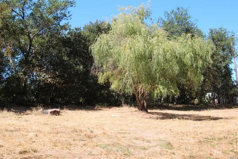 647 Lyding Ln, Sebastopol, CA 95472 photo 14