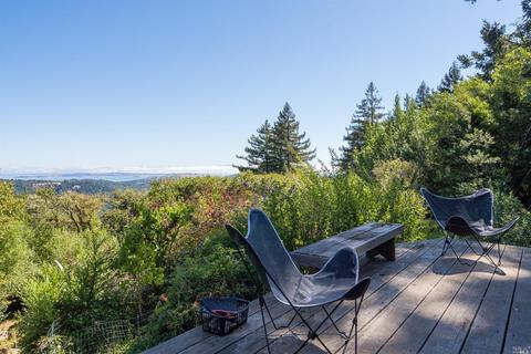 745 Edgewood Ave, Mill Valley, CA 94941 photo 18