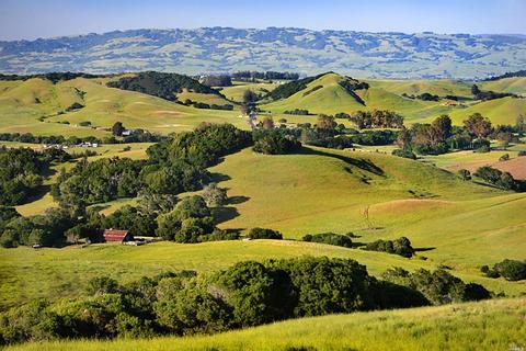 812 Elm Dr, Petaluma, CA 94952 photo 25