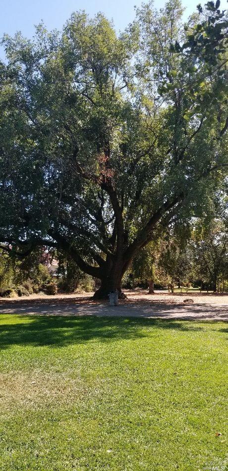 409 La Quinta Ct, Windsor, CA 95492 photo 34