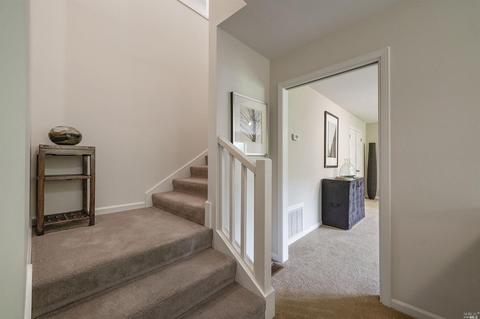 215 Benson Cir, Mill Valley, CA 94941 photo 29