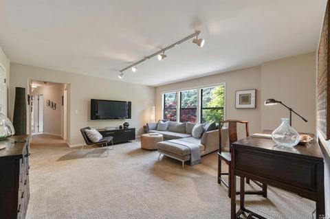 215 Benson Cir, Mill Valley, CA 94941 photo 31