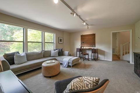 215 Benson Cir, Mill Valley, CA 94941 photo 30