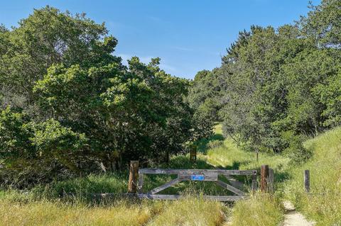 215 Benson Cir, Mill Valley, CA 94941 photo 43