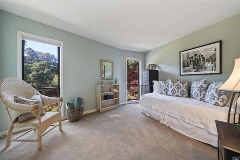 215 Benson Cir, Mill Valley, CA 94941 photo 33