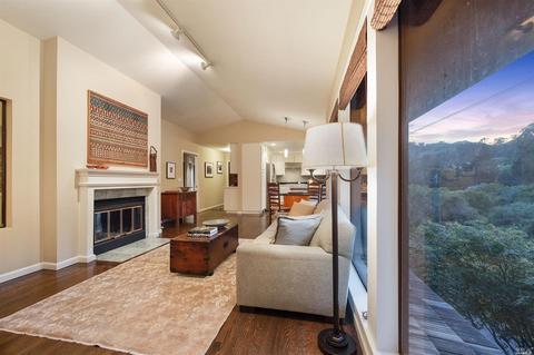 215 Benson Cir, Mill Valley, CA 94941 photo 17