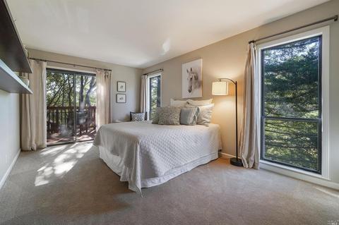 215 Benson Cir, Mill Valley, CA 94941 photo 35