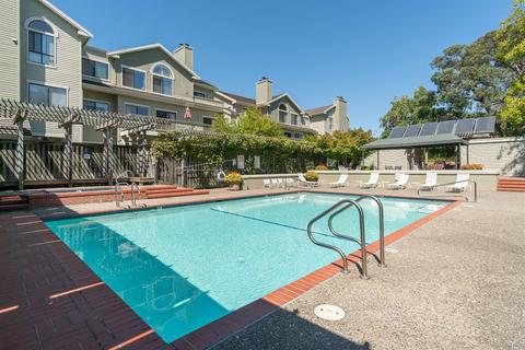41 Eucalyptus Knoll St, Mill Valley, CA 94941 photo 22