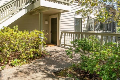 41 Eucalyptus Knoll St, Mill Valley, CA 94941 photo 21