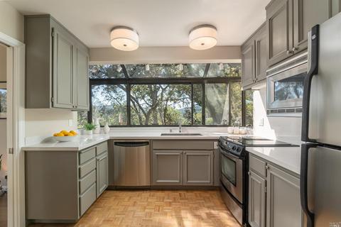 41 Eucalyptus Knoll St, Mill Valley, CA 94941 photo 7