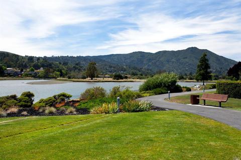 41 Eucalyptus Knoll St, Mill Valley, CA 94941 photo 24