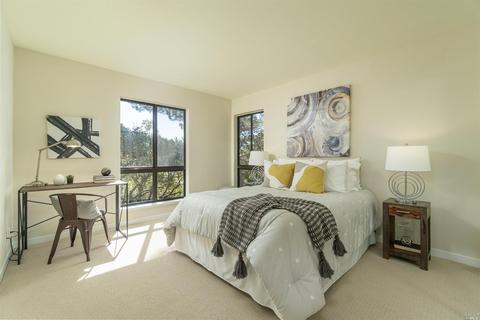 41 Eucalyptus Knoll St, Mill Valley, CA 94941 photo 15