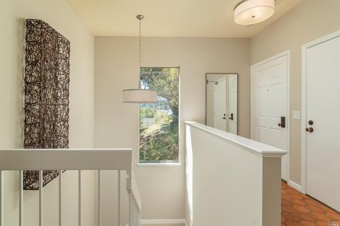 41 Eucalyptus Knoll St, Mill Valley, CA 94941 photo 10