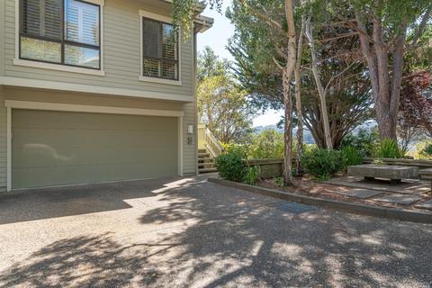 41 Eucalyptus Knoll St, Mill Valley, CA 94941 photo 20
